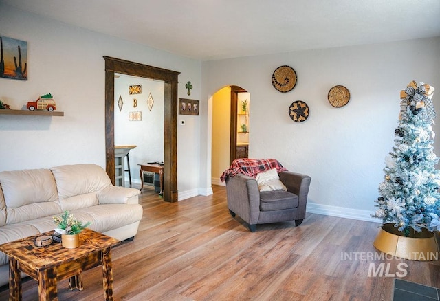 living room featuring light hardwood / wood-style floors