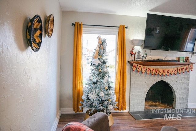 living room featuring a fireplace and wood-type flooring