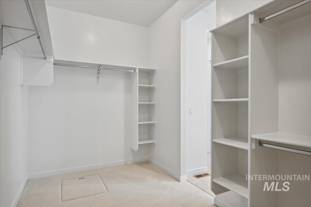 8828 S Waterclover Way, Meridian, ID 83642 - walk in closet with carpet floors