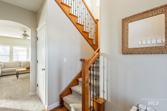 stairway with ceiling fan and carpet floors