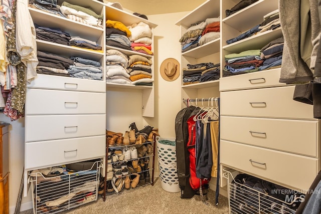 view of spacious closet