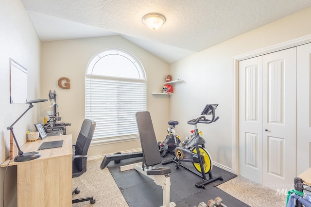 exercise room featuring carpet floors, vaulted ceiling, and a textured ceiling