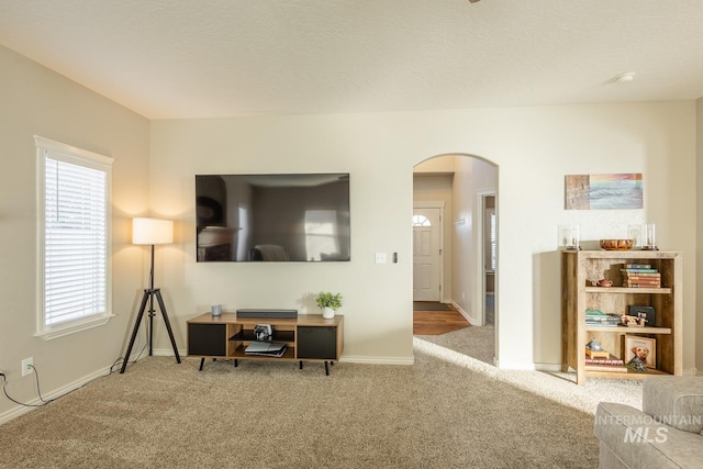 view of carpeted living room