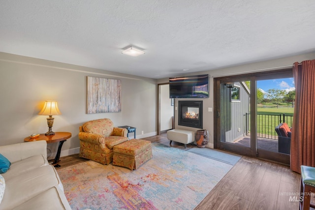 4400 W Pasadena Dr Unit 38, Boise, ID 83705 - living area featuring wood finished floors, a glass covered fireplace, baseboards, and a textured ceiling