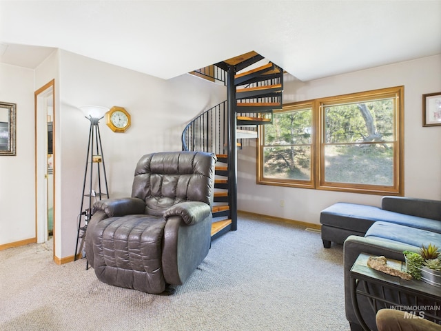 9 Pond Overlook, Idaho City, ID 83631 - living area featuring baseboards and carpet floors