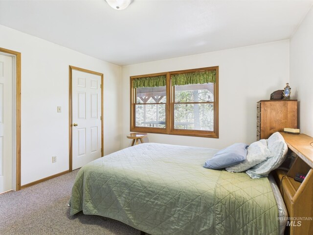 9 Pond Overlook, Idaho City, ID 83631 - carpeted bedroom with baseboards