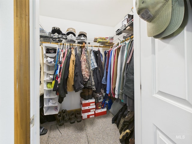 9 Pond Overlook, Idaho City, ID 83631 - spacious closet featuring carpet flooring