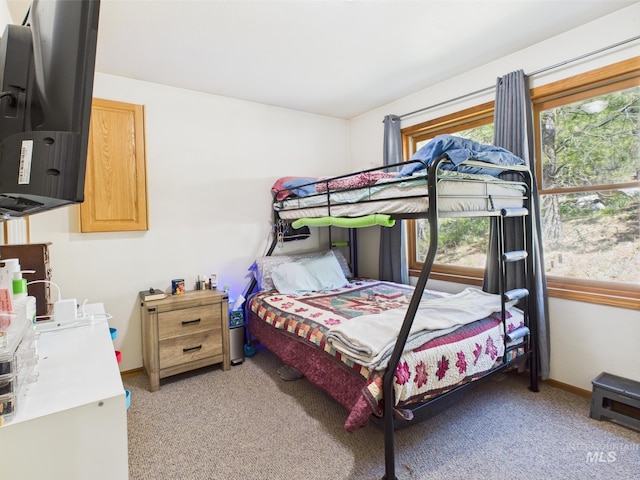 9 Pond Overlook, Idaho City, ID 83631 - bedroom with light colored carpet