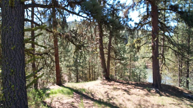 9 Pond Overlook, Idaho City, ID 83631 - view of woods