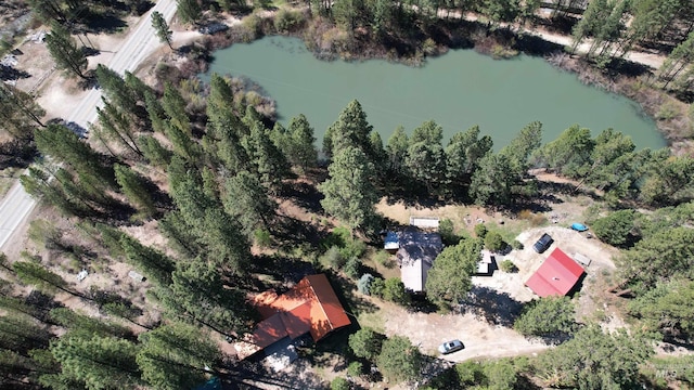 9 Pond Overlook, Idaho City, ID 83631 - view of property location featuring a large body of water