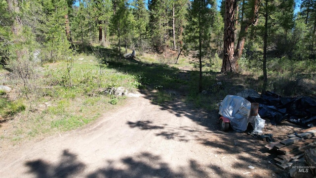 9 Pond Overlook, Idaho City, ID 83631 - view of street featuring a forest view