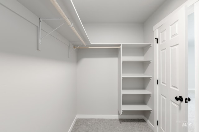 2431 W Opalite Dr, Kuna, ID 83634 - spacious closet featuring carpet