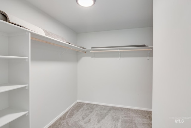 spacious closet featuring light colored carpet