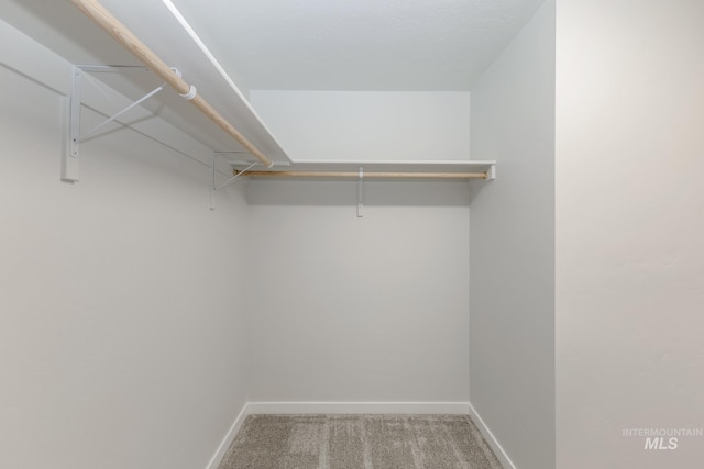 walk in closet featuring carpet