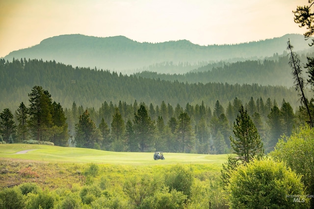 249 W Jug, Mccall, ID 83638