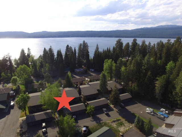 1640 N Davis Ave Unit 3, Mccall, ID 83646 - aerial view of a heavily wooded area and a nearby body of water
