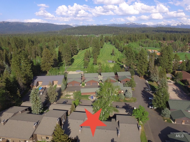 1640 N Davis Ave Unit 3, Mccall, ID 83646 - aerial overview of property's location featuring a heavily wooded area and mountains
