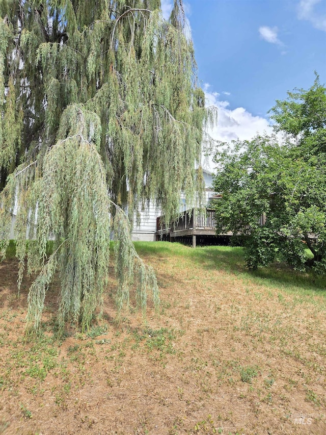 1922 9th Ave, Lewiston, ID 83501 - view of green lawn featuring a deck