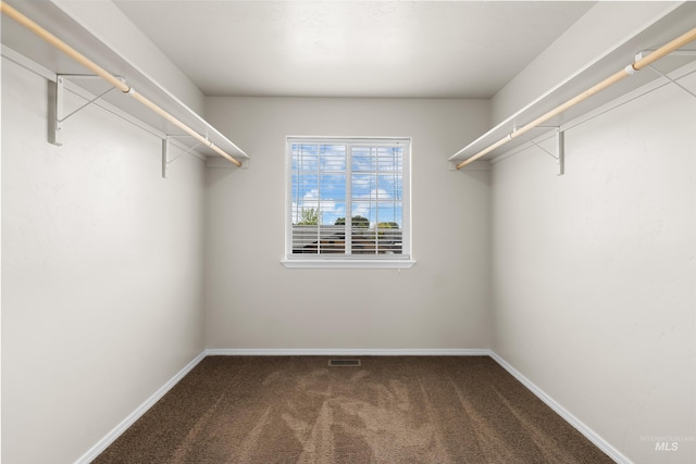 4618 Braeburn Ave, Caldwell, ID 83607 - spacious closet with carpet floors