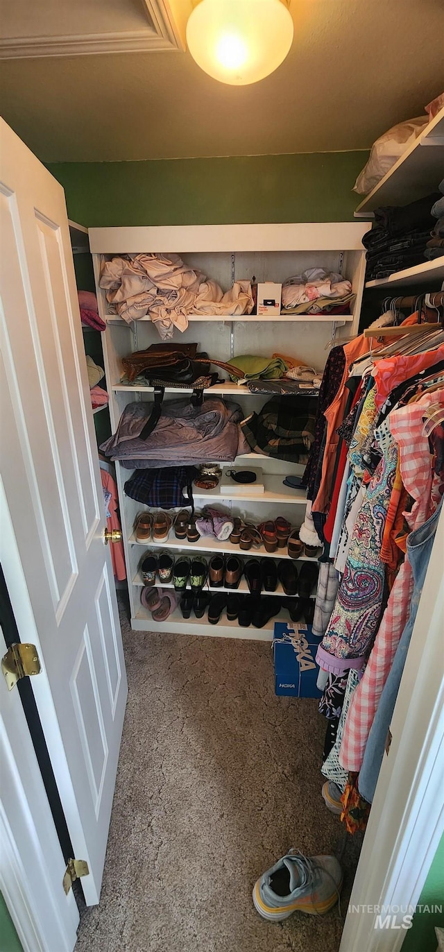 817 6th St, Kamiah, ID 83536 - walk in closet featuring carpet flooring