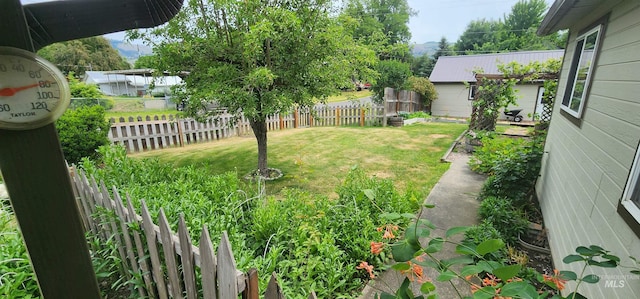 817 6th St, Kamiah, ID 83536 - view of yard