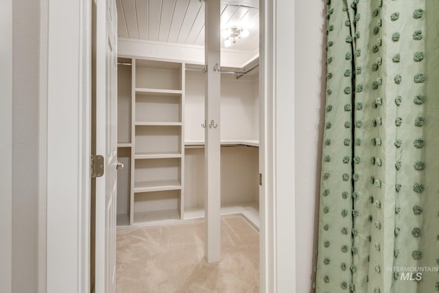 walk in closet with carpet flooring