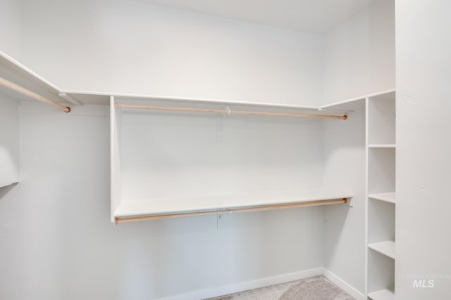 walk in closet with light carpet