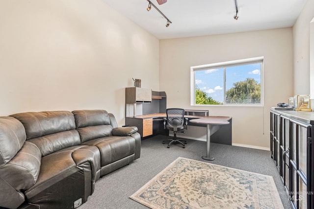 4459 E Deer Flt, Kuna, ID 83634 - office area with rail lighting and carpet flooring