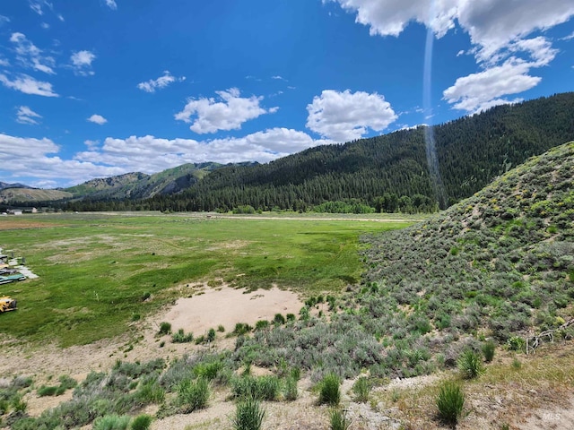 4942 E Baumgartner Rd, Featherville, ID 83647 - mountain view featuring a heavily wooded area and rural landscape