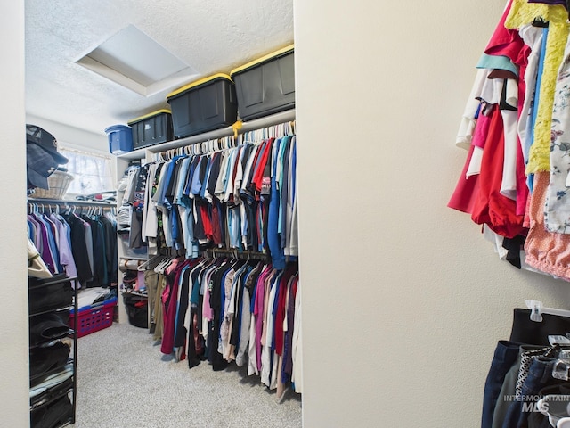 spacious closet featuring carpet flooring and attic access