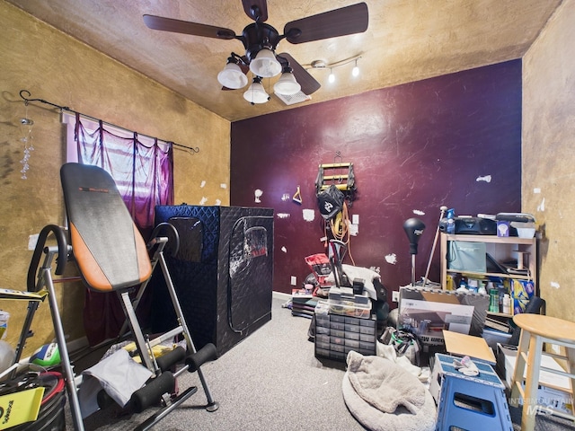 exercise room featuring ceiling fan and carpet flooring