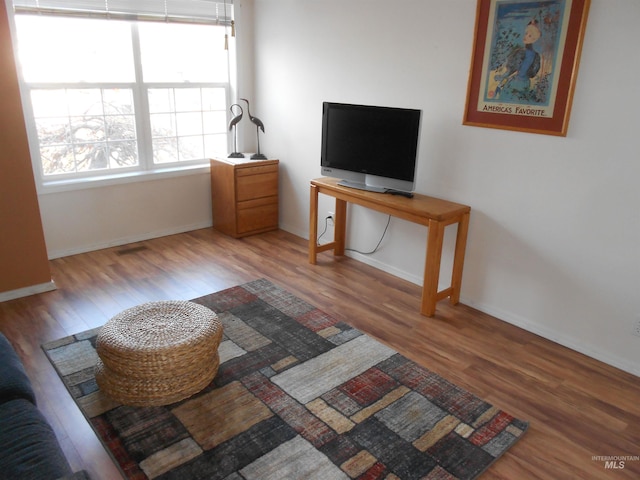 living room featuring hardwood / wood-style flooring