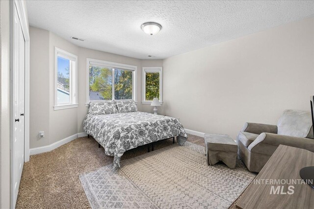 605 W Highland Ave, Nampa, ID 83686 - bedroom featuring baseboards, carpet, a textured ceiling, and visible vents