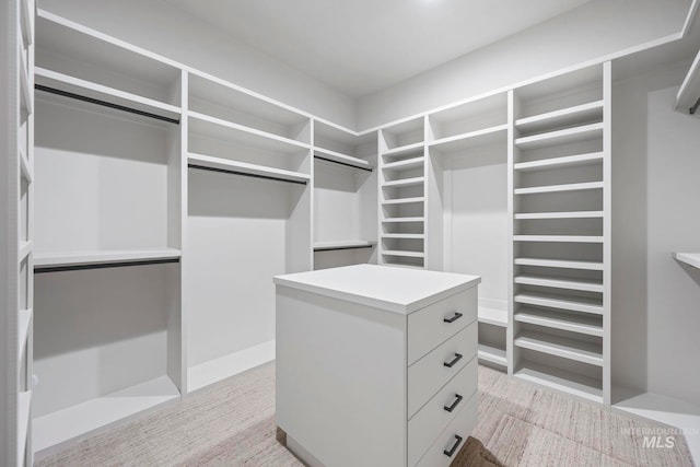 1010 Elo Rd, Mccall, ID 83638 - view of walk in closet