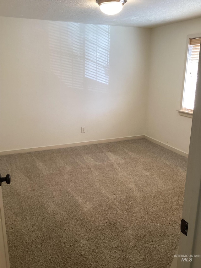 unfurnished room with carpet and a textured ceiling