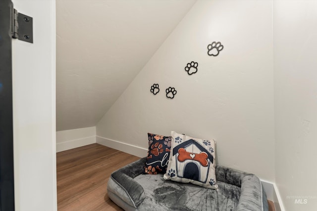 interior space featuring lofted ceiling, wood finished floors, and baseboards