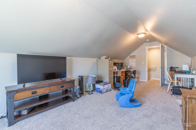 additional living space with carpet and lofted ceiling