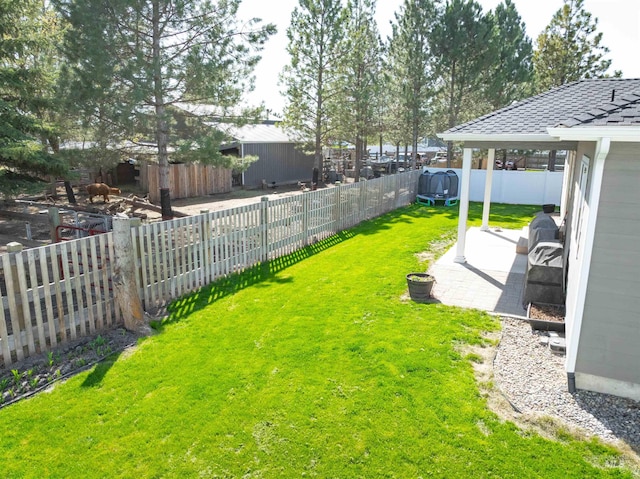 view of yard featuring a fenced backyard and a patio area