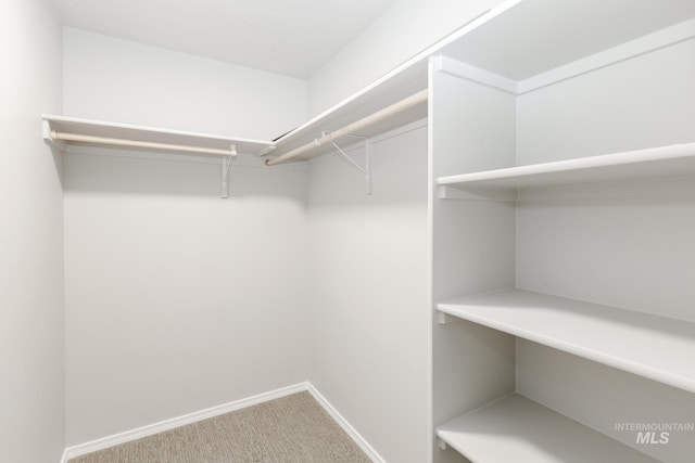 spacious closet with carpet floors