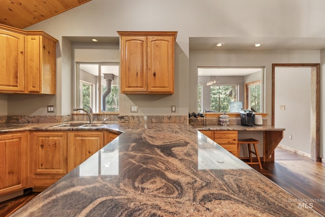16 Meadow Ln, Boise, ID 83716 - kitchen featuring lofted ceiling, healthy amount of natural light, dark wood-type flooring, recessed lighting, and stone countertops