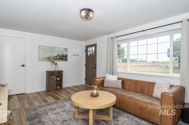 living area with wood finished floors, a textured ceiling, and baseboards