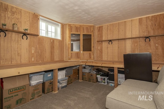 unfurnished office featuring wooden walls and carpet