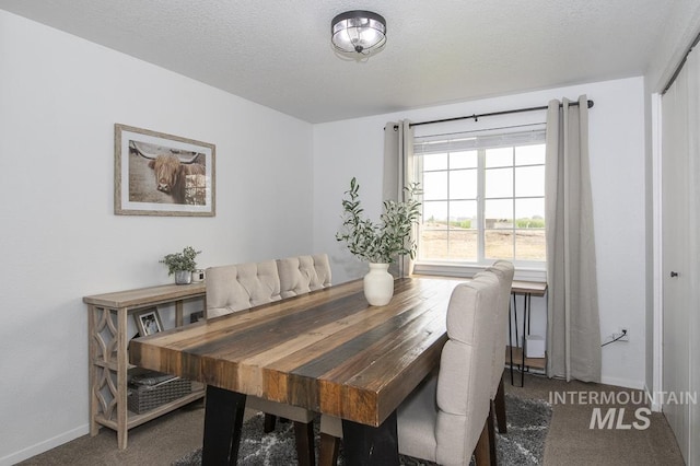 carpeted dining room with baseboards and a textured ceiling