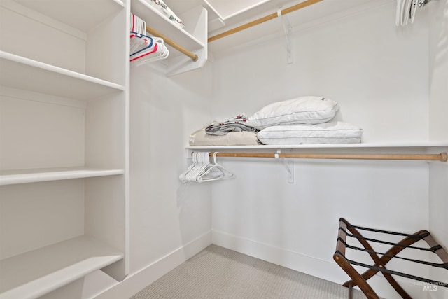 386 E Presidio Ln, Eagle, ID 83616 - walk in closet featuring carpet