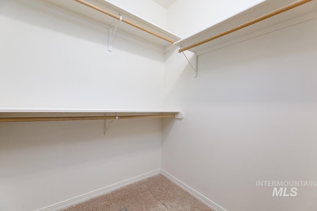 walk in closet featuring carpet floors