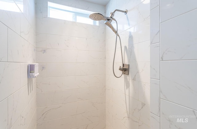 2527 E Taormina Dr, Meridian, ID 83642 - full bath with a tile shower