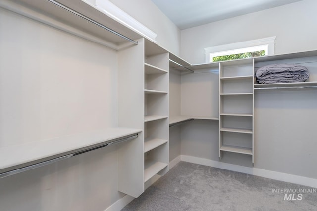 2527 E Taormina Dr, Meridian, ID 83642 - spacious closet featuring carpet floors