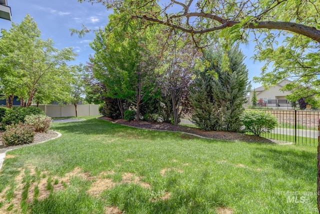 2527 E Taormina Dr, Meridian, ID 83642 - view of yard