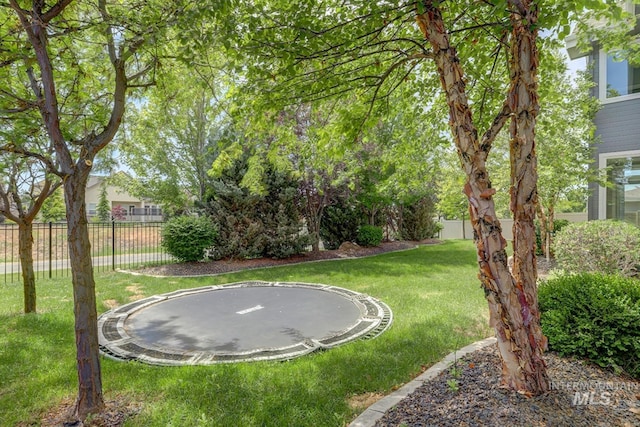 2527 E Taormina Dr, Meridian, ID 83642 - view of yard with a trampoline