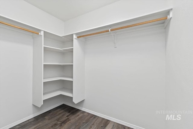 walk in closet with dark wood finished floors